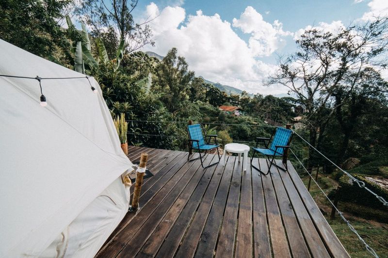A Backyard Campout for Maya's Ninth Birthday