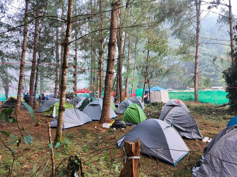 Mosquitoes Won Until We Bought a Screen Shelter